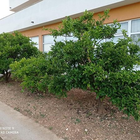 טרוגיר Studio Apartment With Balcony מראה חיצוני תמונה